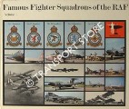 Book cover of Famous Fighter Squadrons of the RAF by HALLEY, James J.